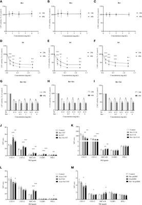 Natural killer cell therapy potentially enhances the antitumor effects of bevacizumab plus irinotecan in a glioblastoma mouse model